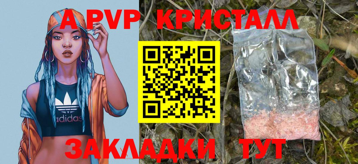 Альфа ПВП СК КРИС Калач-на-Дону