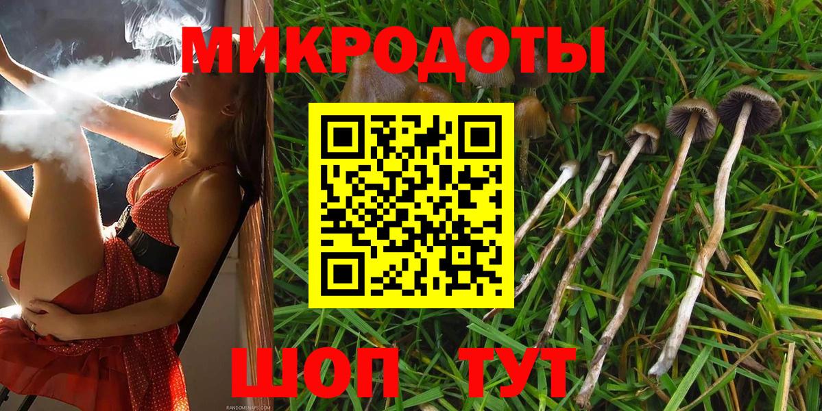 купить наркотик  Вход с VPN  Калач-на-Дону  Псилоцибиновые грибы Psilocybine cubensis 